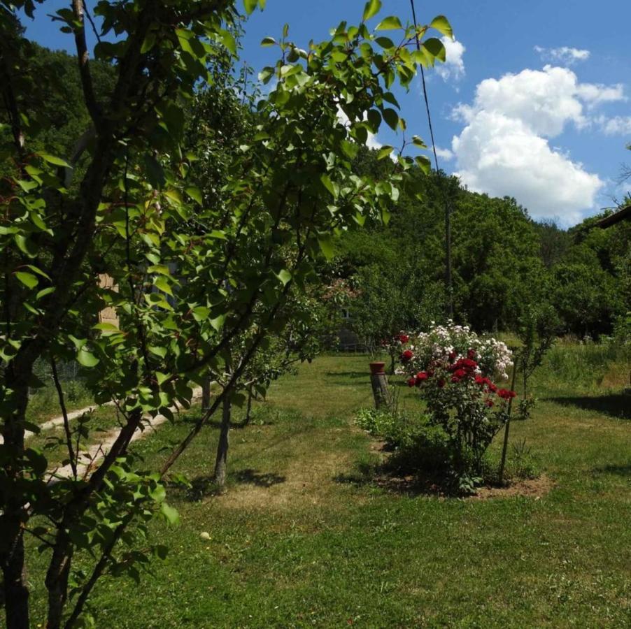 Omar & Una Apartmani Bihać Екстериор снимка